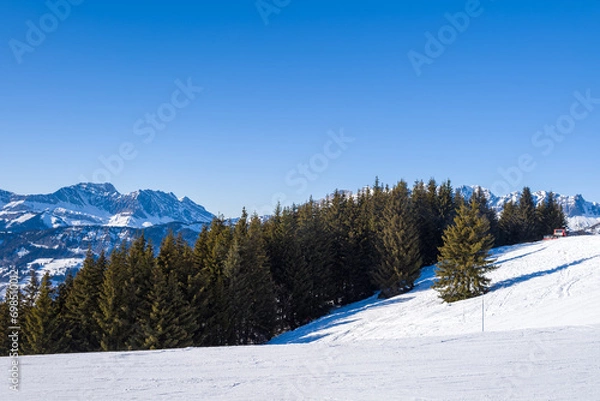 Fototapeta The Mont Blanc massif and its fir forests in Europe, France, Rhone Alpes, Savoie, Alps, in winter, on a sunny day.