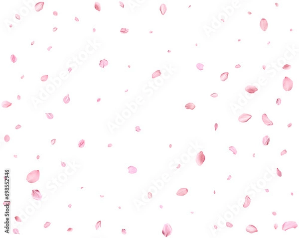 Fototapeta Japanese Spring petals cherry.