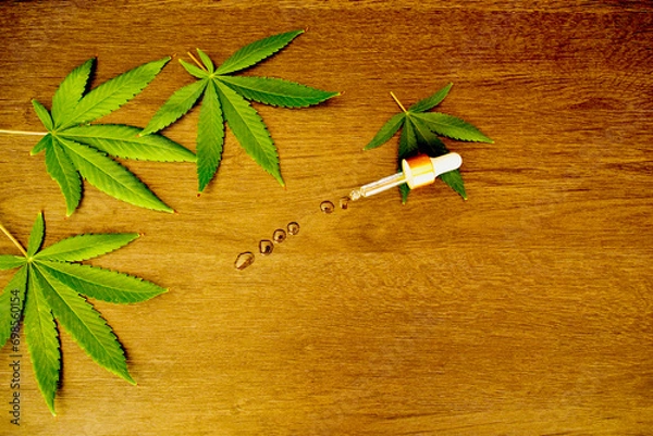 Obraz Cannabis leaves on the table in the laboratory for the preparation of medicines