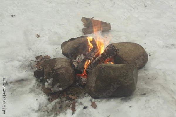 Obraz burning firewood in the fireplace