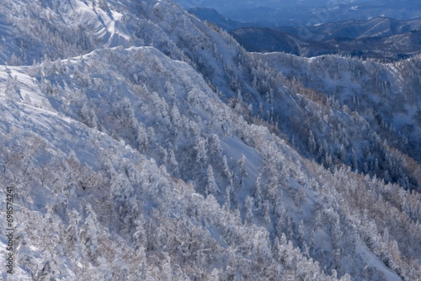 Obraz 冬の剣ヶ峰山の山肌