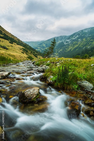 Fototapeta Beautiful mountain stream and fir trees in the Alps