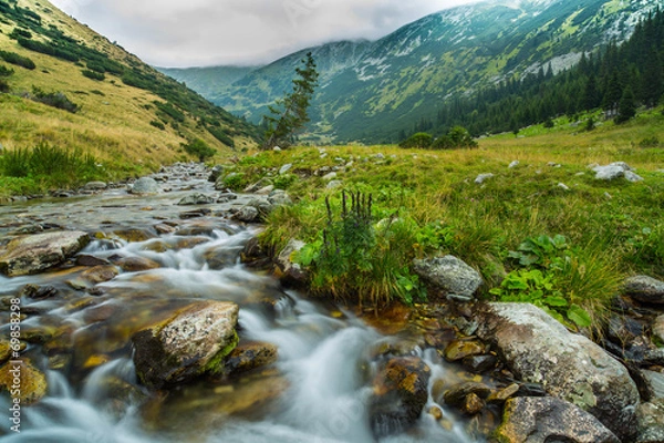 Fototapeta Beautiful mountain stream and fir trees in the Alps