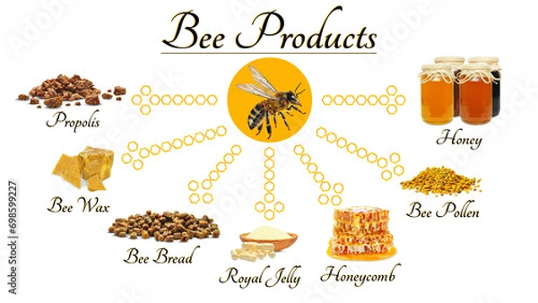 Fototapeta honey, bee bread, pollen, royal jelly, propolis and wax isolated