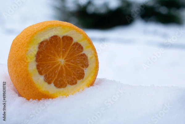 Obraz An orange cut in the snow