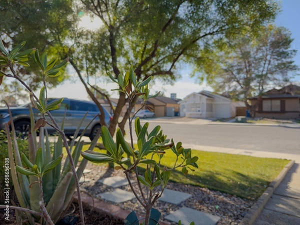 Fototapeta The Suburbs