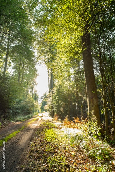 Obraz The way it goes