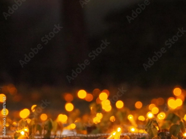 Obraz クリスマス