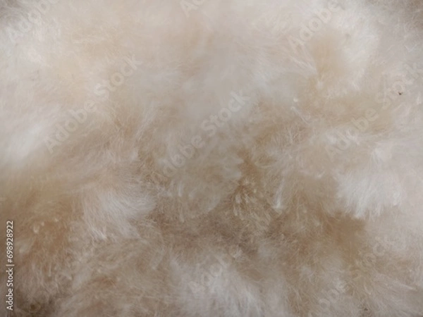 Obraz fur texture