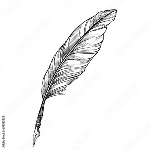 Obraz quill handdrawn illustration