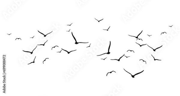 Obraz flying bird silhouette