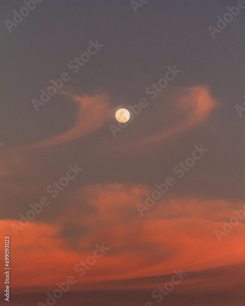 Obraz Moom in sunset