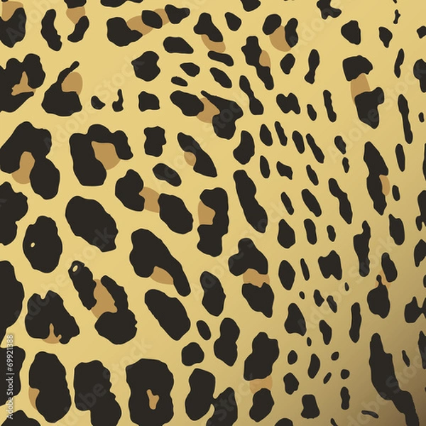 Fototapeta Leopard skin vector