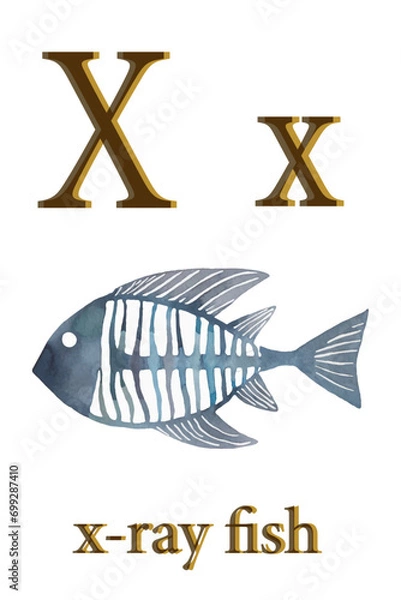 Obraz printable animal alphabet card vector graphic resources, letter X / x for x-ray fish	
