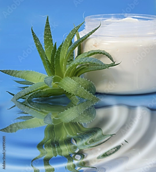 Obraz Krem Aloe Vera