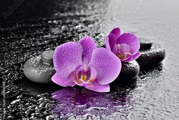 Obraz Storczyki z kamieniami bazaltowymi