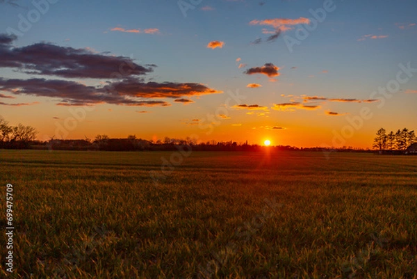 Fototapeta sunset over field