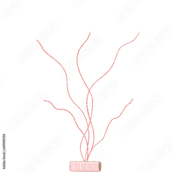Fototapeta tree isolated on white background