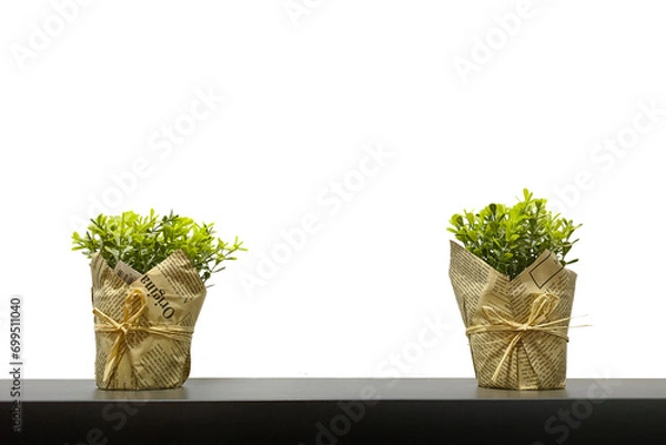 Fototapeta plastic grass on pot  nature concept png