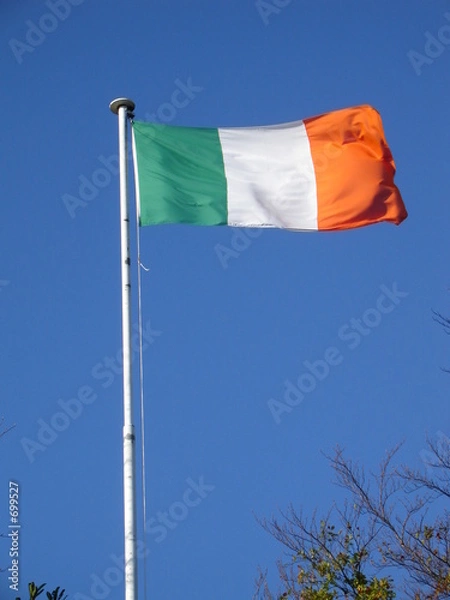 Obraz ireland flag