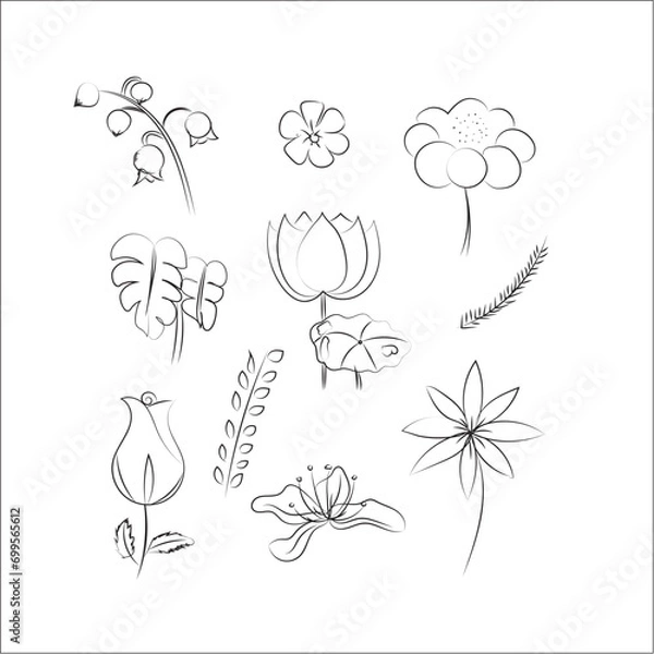 Obraz  flower and branches