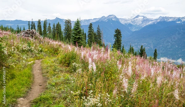 Obraz Mountain bike trail