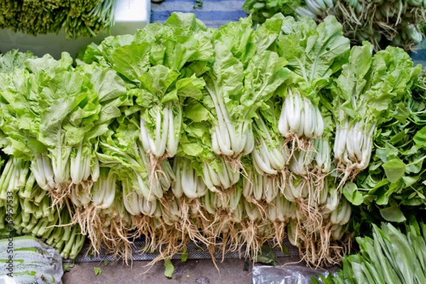 Obraz stack of vegetables green pakchoi in market