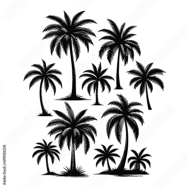 Fototapeta Set of palm tree silhouettes isolated on a white background, Vector illustration.