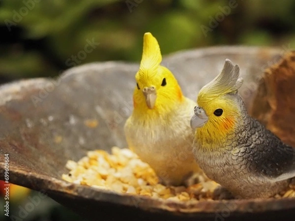 Fototapeta 寄り添うインコのオブジェ