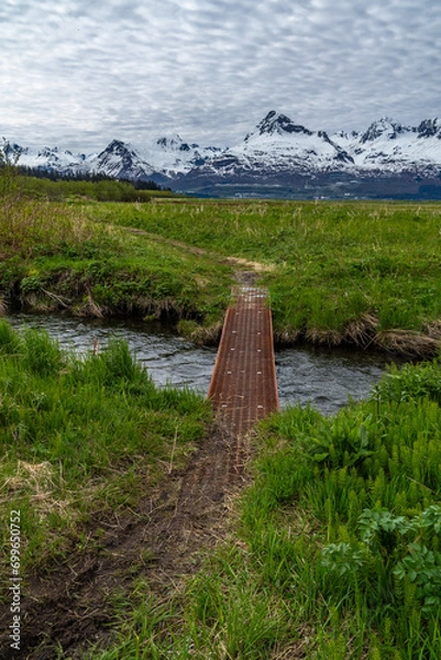 Fototapeta No slip expanded metal mesh  bolted to the planks of a wooden footbridge over a small stream through grassy meadow with snow capped mountains in the background, Shoup Trail, Valdez, Alaska