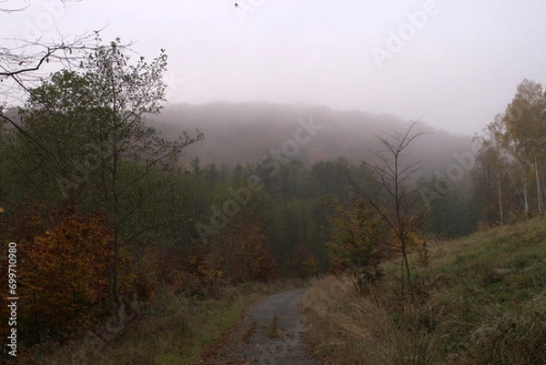 Obraz fog in the mountains