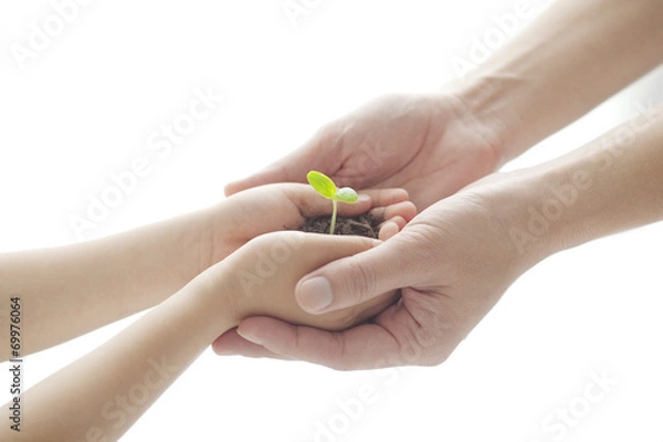 Obraz 双葉を持つ親子の手元