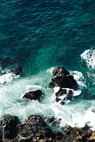 Obraz Sealion kingdom 