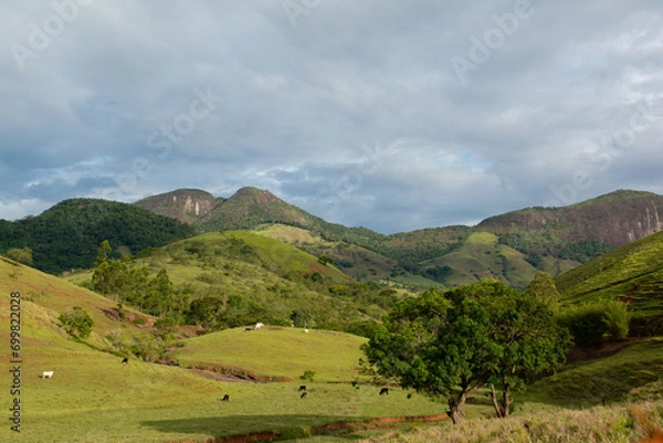 Obraz landscape with mountains