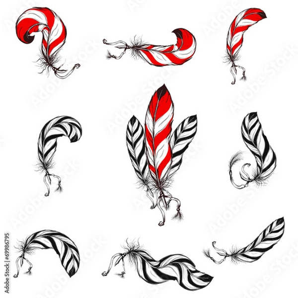 Obraz native american eagle feathers set