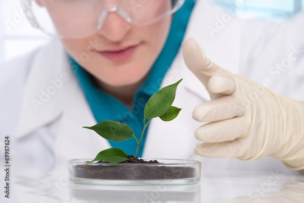 Obraz Biotechnologia