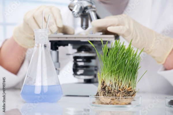 Obraz Biotechnologia