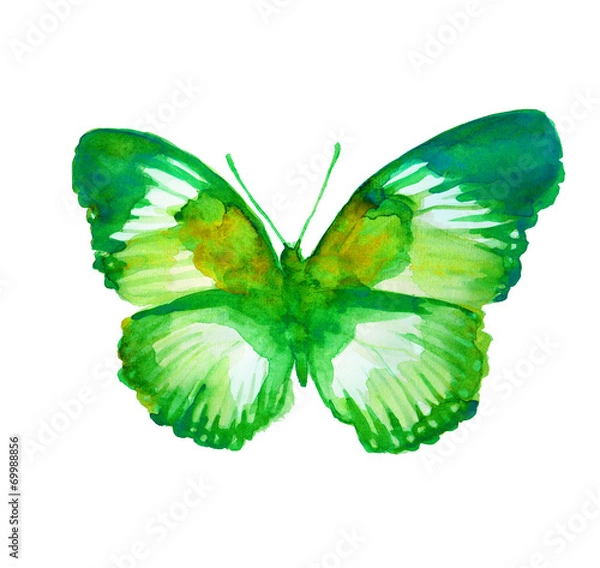 Obraz butterflies design