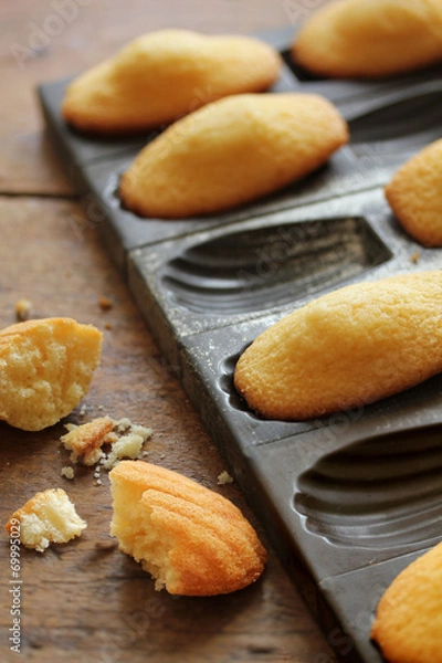 Obraz Madeleines-6559