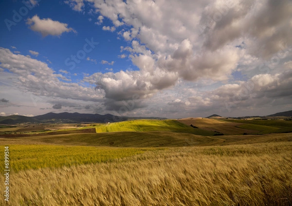 Obraz Paesaggio primaverile