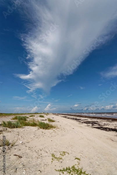 Fototapeta Sargent Beach on the south side of the Intracoastal Waterway, with Breakers rolling in from the Gulf on a sunny day in September.
