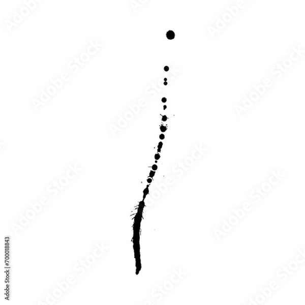 Obraz black artistic ink splatter isolated element