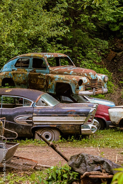 Obraz old car in the forest