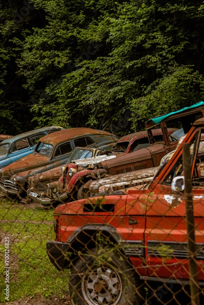 Obraz car in the forest