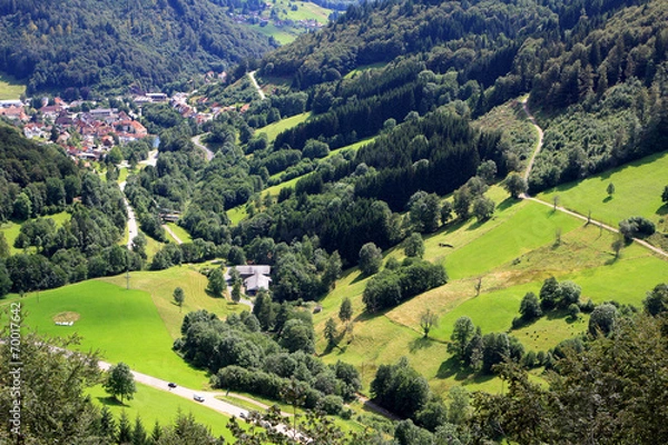 Obraz Black forest, Germany