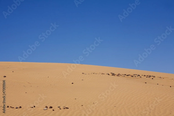 Fototapeta desert dunes