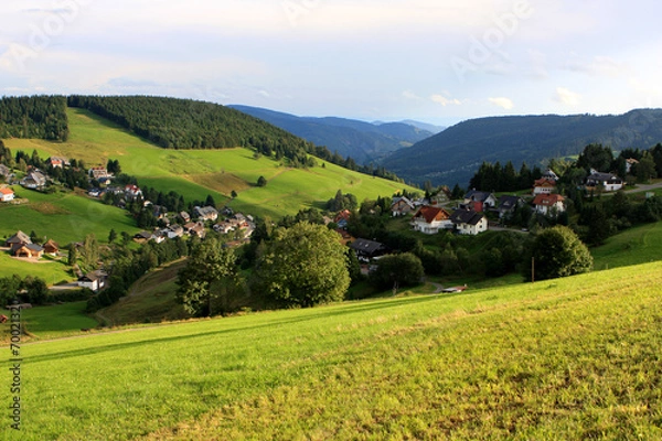 Obraz Black forest, Germany