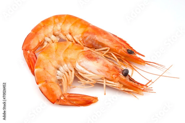 Fototapeta dos langostinos