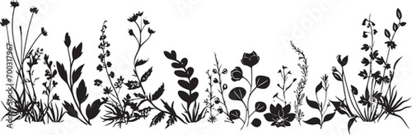 Obraz Ink Engraved Flora Perimeter Botanical Vector Icon Midnight Ink Blossoms Floral Border Vector Icon