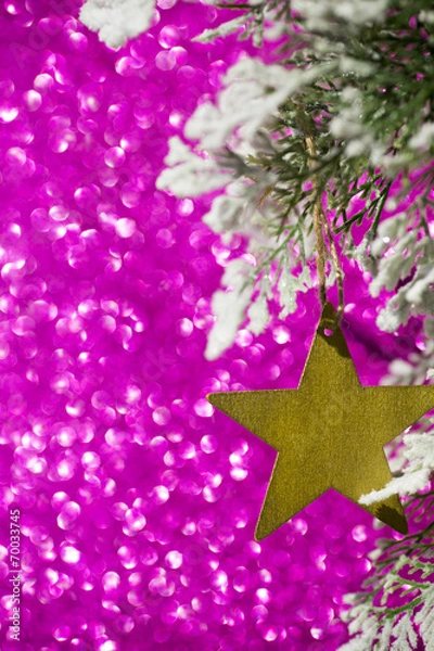 Obraz Christmas star.